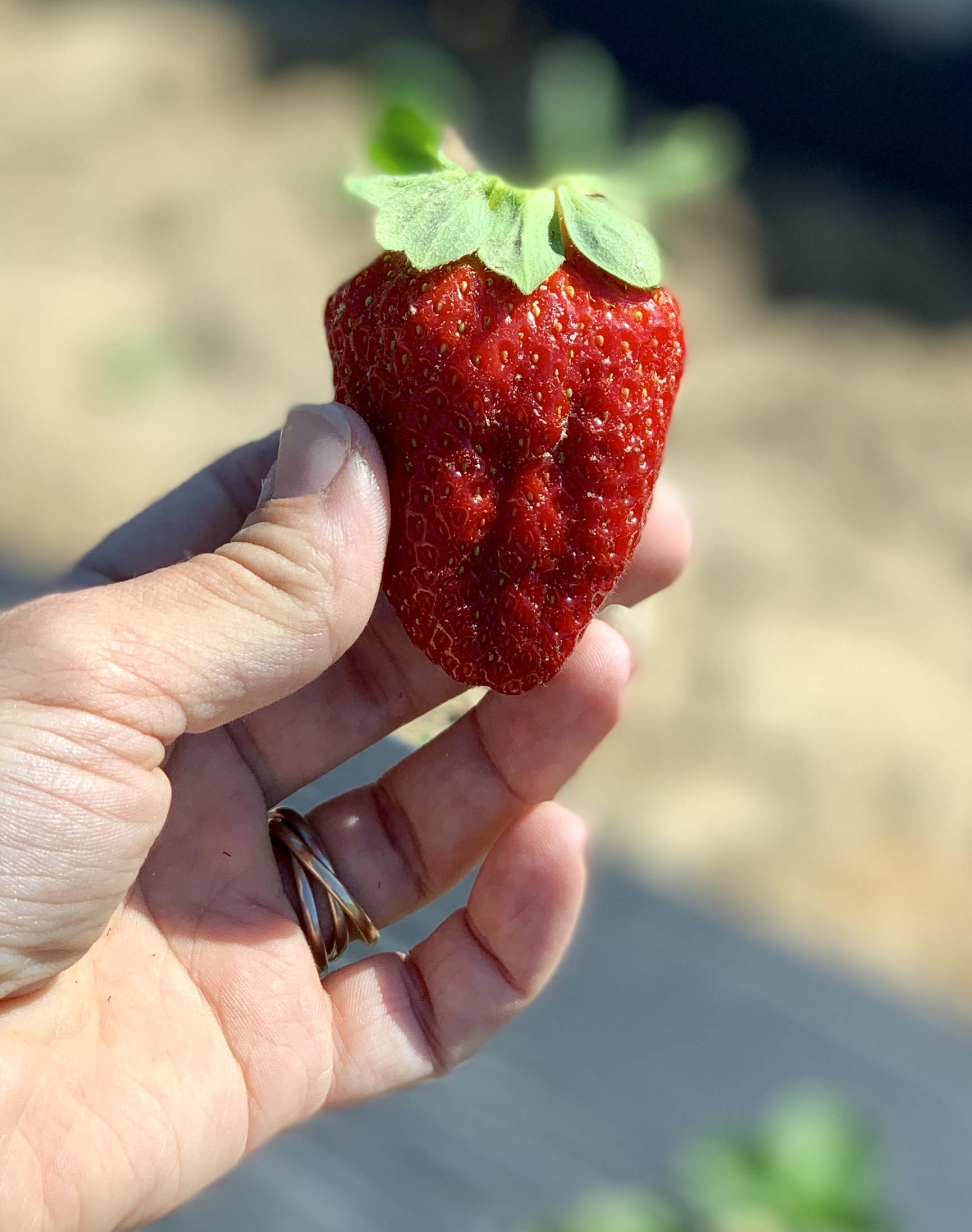 strawberries